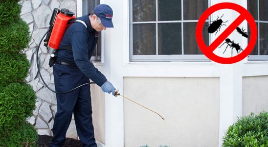 Bahçelerarası Haşere İlaçlama böcek ilaçlama ve haşere kontrolü — ilaclama-tr.com